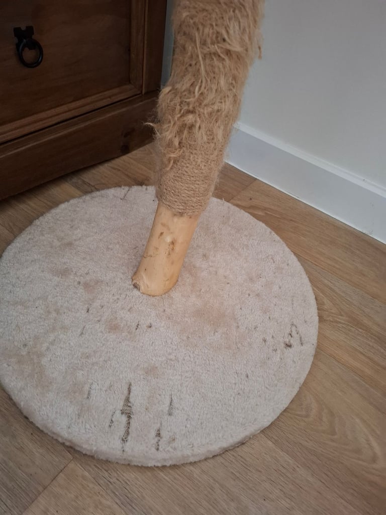 Pets at home tom snooze & swat cat tower natural