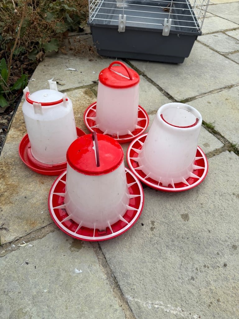 image for Chicken feeder and drinker