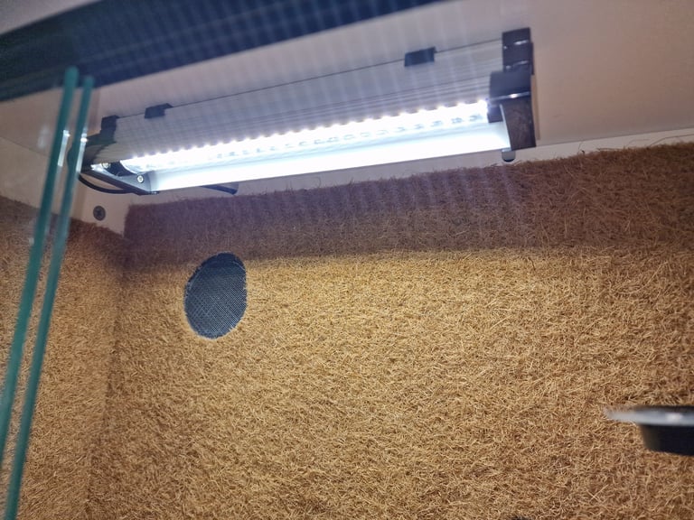 Brand new reptilife plastic vivarium 