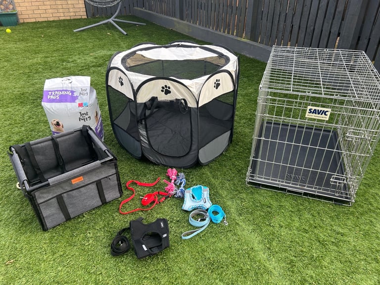 Puppy / small dog items (various)