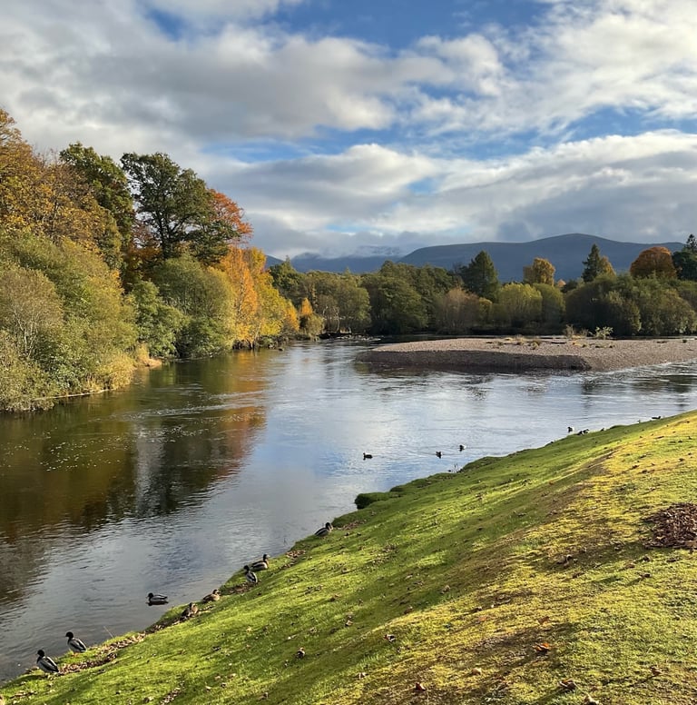 Brand New holiday home for sale Aviemore.