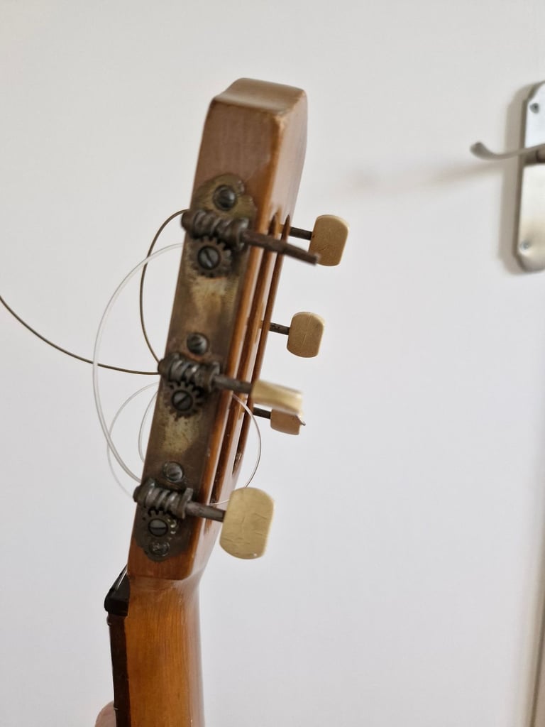 Hofner vienna guitar