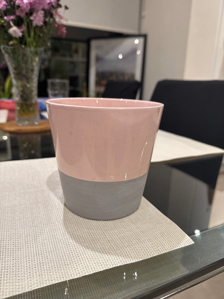 Pink plant pot 🌸🪴