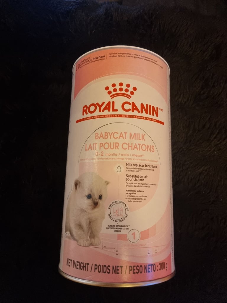 image for Kitten milk with bottle