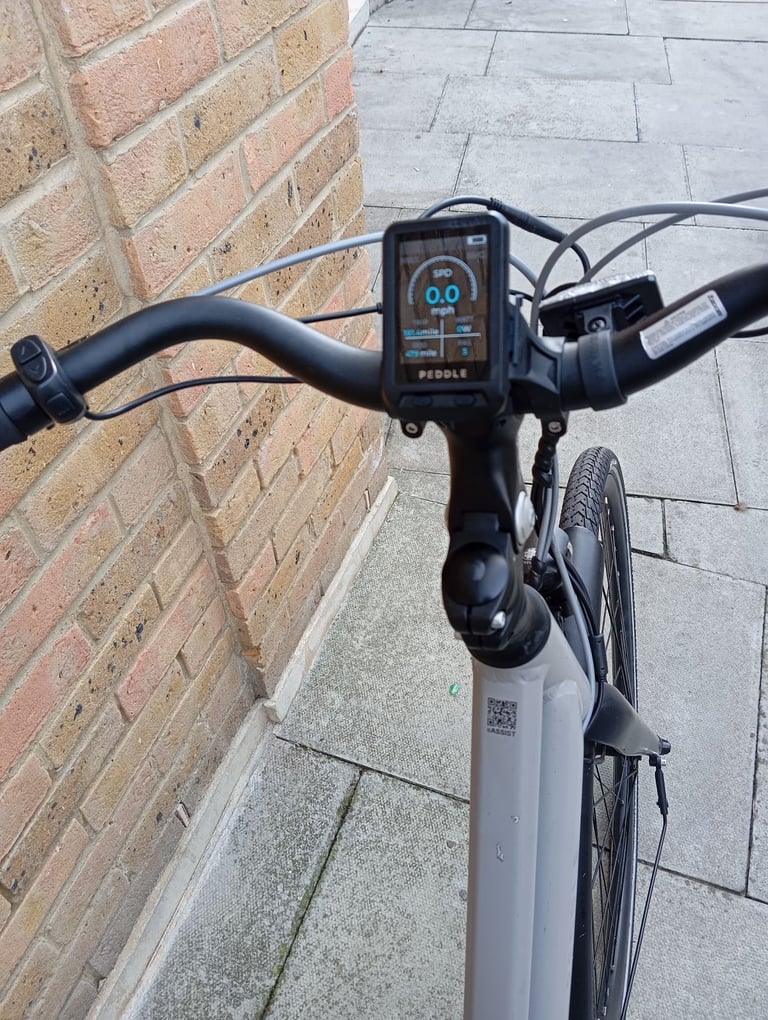 Peddle electric bike 