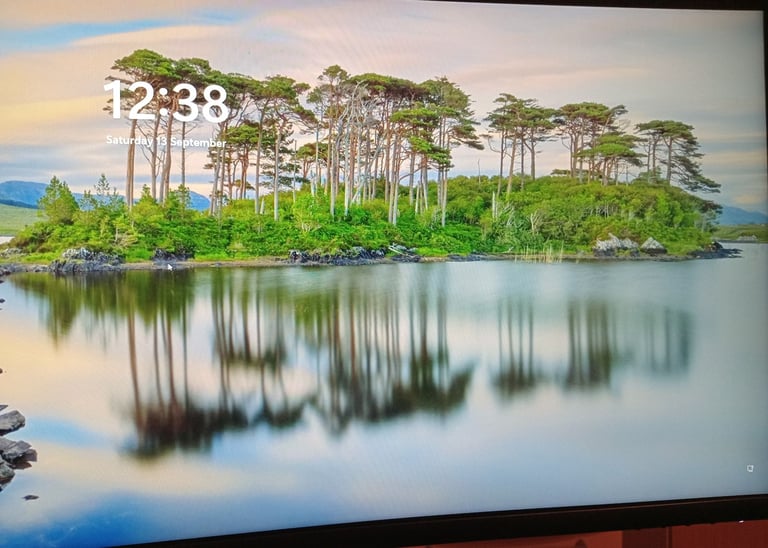 DELL FULL PC PACKAGE MEGA DEAL 34 inch curved screen - i5 10th computer package 