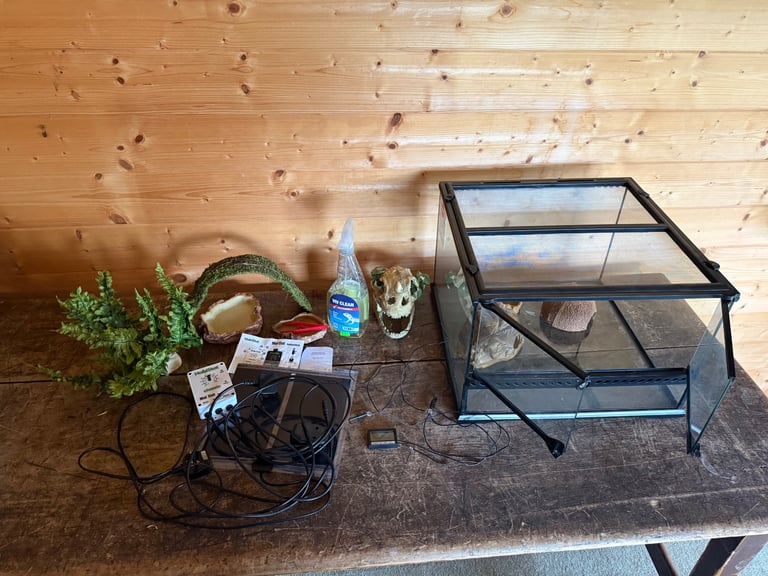 Exo Terra Tank/terrarium. Gecko/exotic pet tank. Plus extras. 