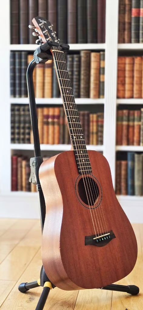 Taylor BT2 guitar with gig-bag in lovely condition with rich sound.