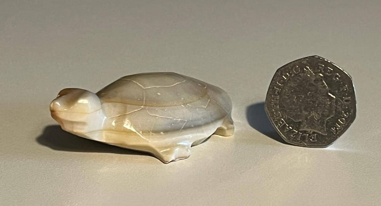 Oynx  / Marble Collectable Turtle