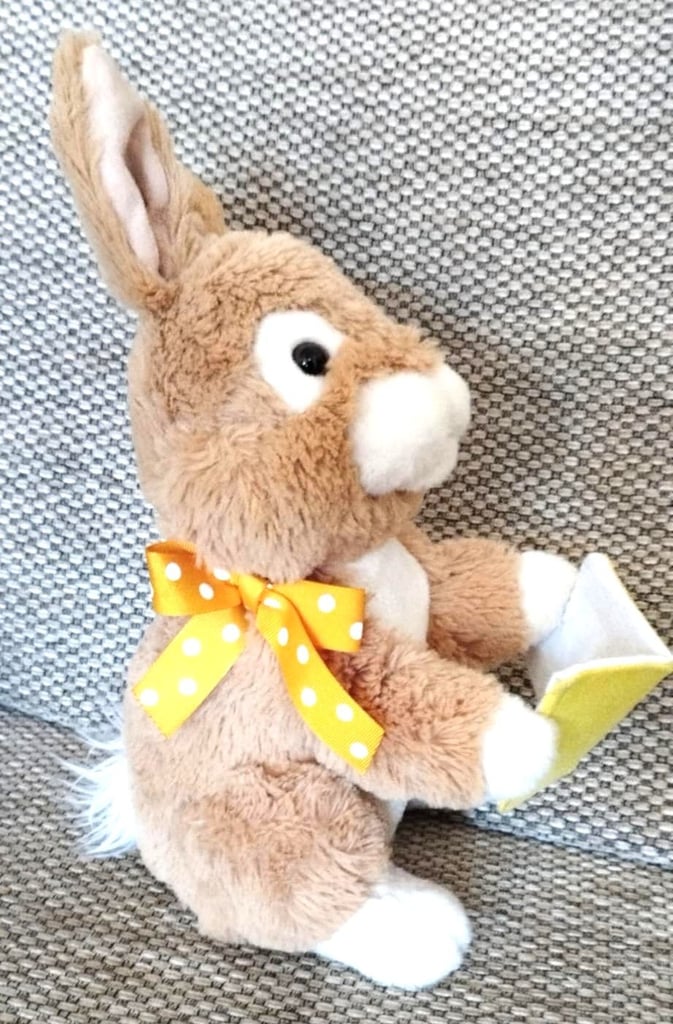 The Tale of Peter Rabbit - Beatrix Potter - book and toy - children's aged 3-5