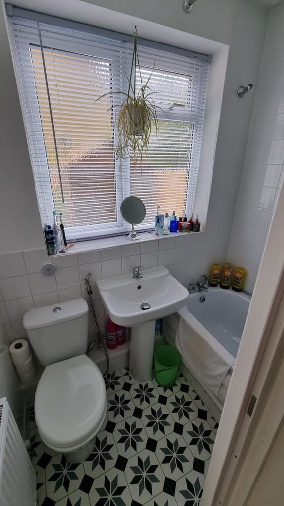 CRYSTAL PALACE TO SURREY