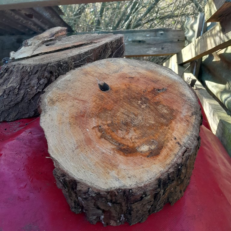 image for Shed dried logs 3yr seasoned 