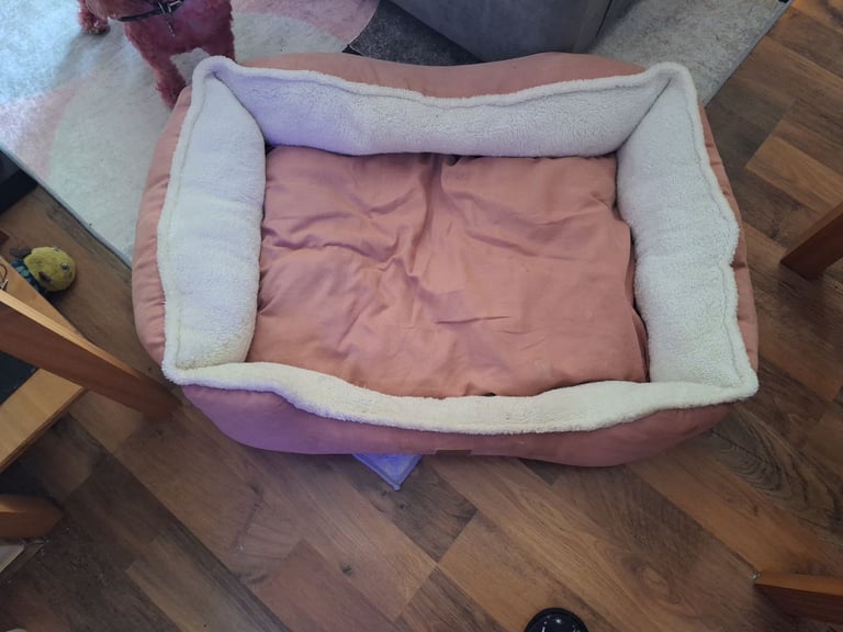 Large dog bed