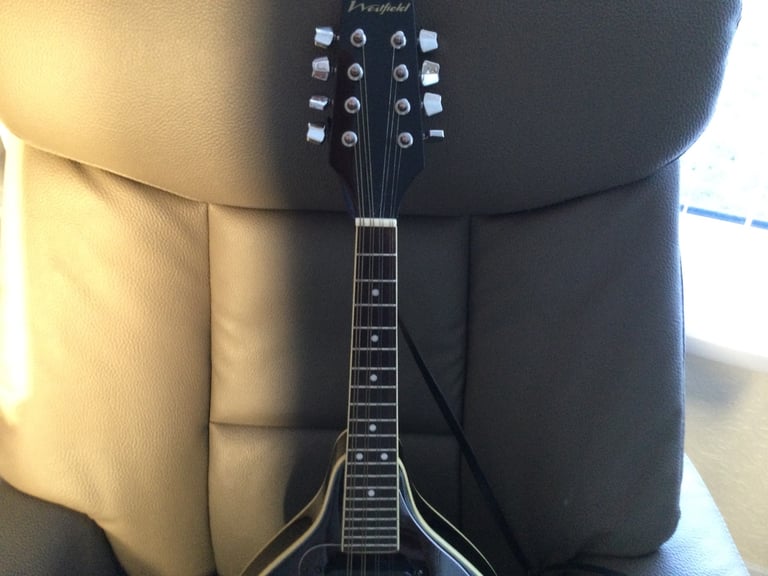 image for “PRICE DROP”  🎶8 String Electric mandolin & amp.🎶
