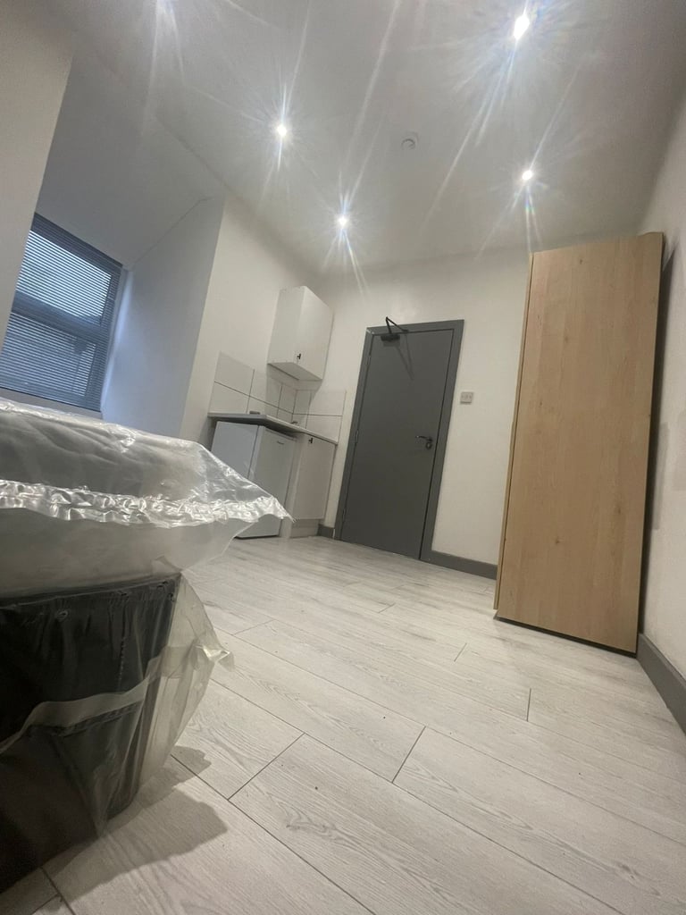 modern refurbished studio with En suite (Shared kitchen) 