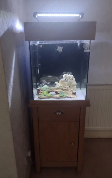 Full Tropical Setup Aquarium - Fish Tank (85 Litre)