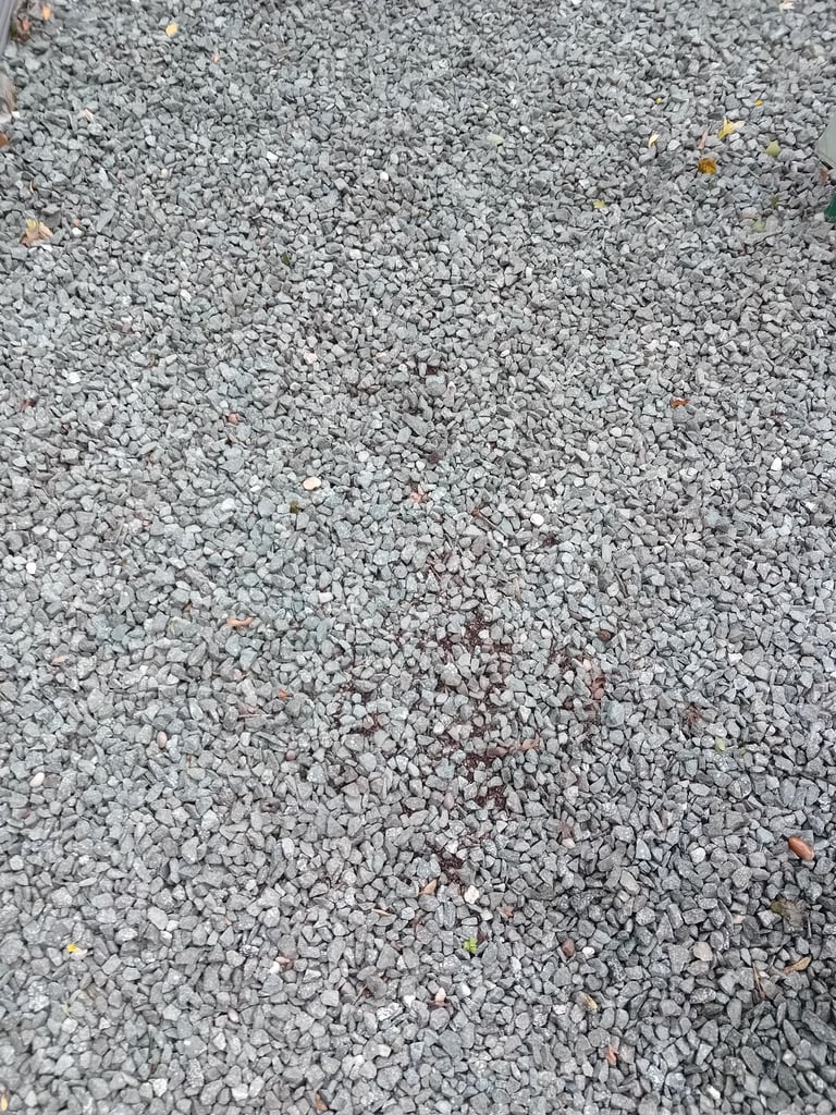 image for Gray stones