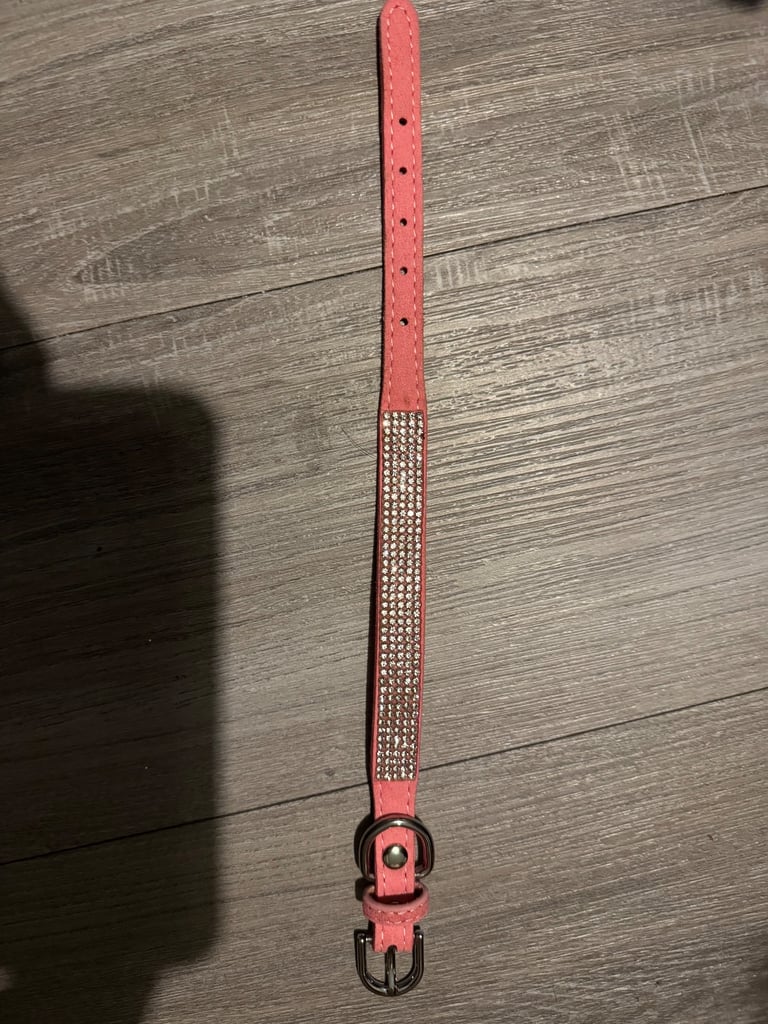 Brand new 30cm dog collar diamanté 
