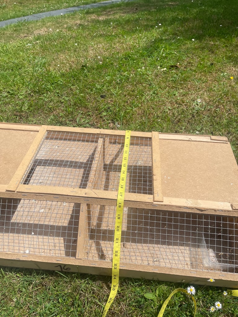 Bird reptile carrier 