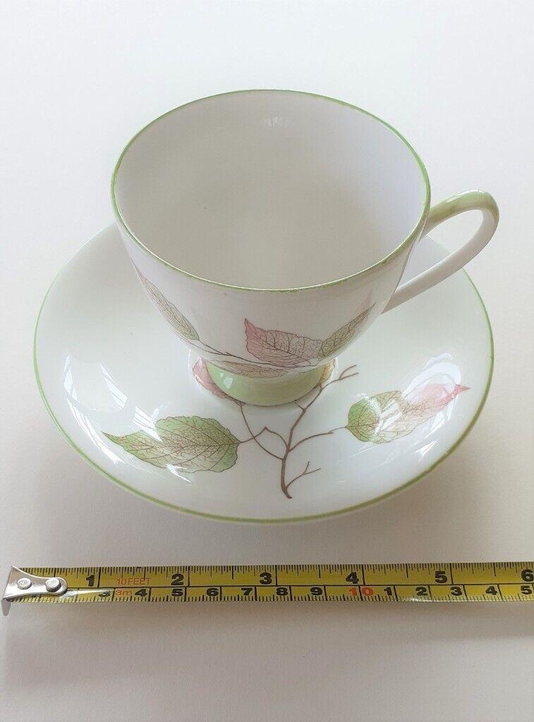 Royal Standard Fine Bone China Tea Set. Unusual pattern.
