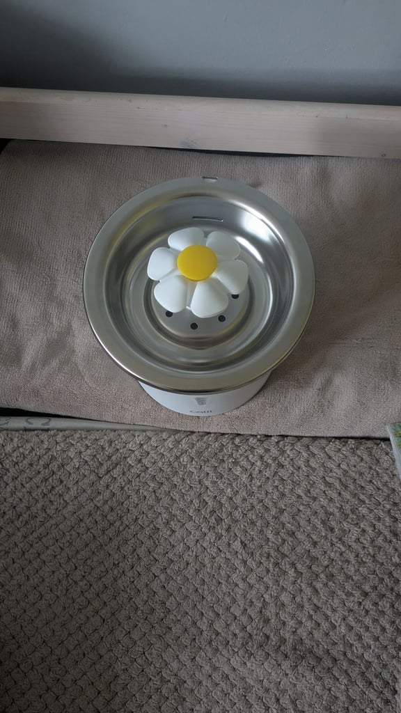 Water fountain for cats 