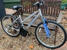 Adult 17 inch mountain bike £40