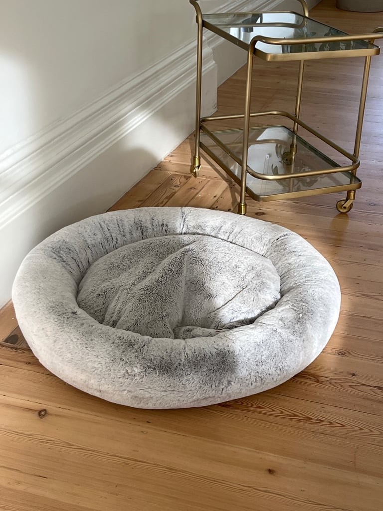 Free dog bed