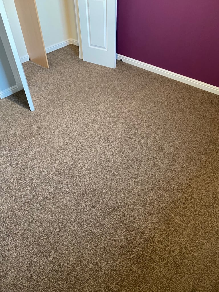Bedroom carpet great condition - 10 square meter - bargain