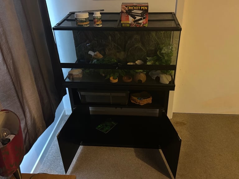 Ultimate Exo Terra Set (Terrarium, Cabinet, Faunarium, Accessories and Decorations). 