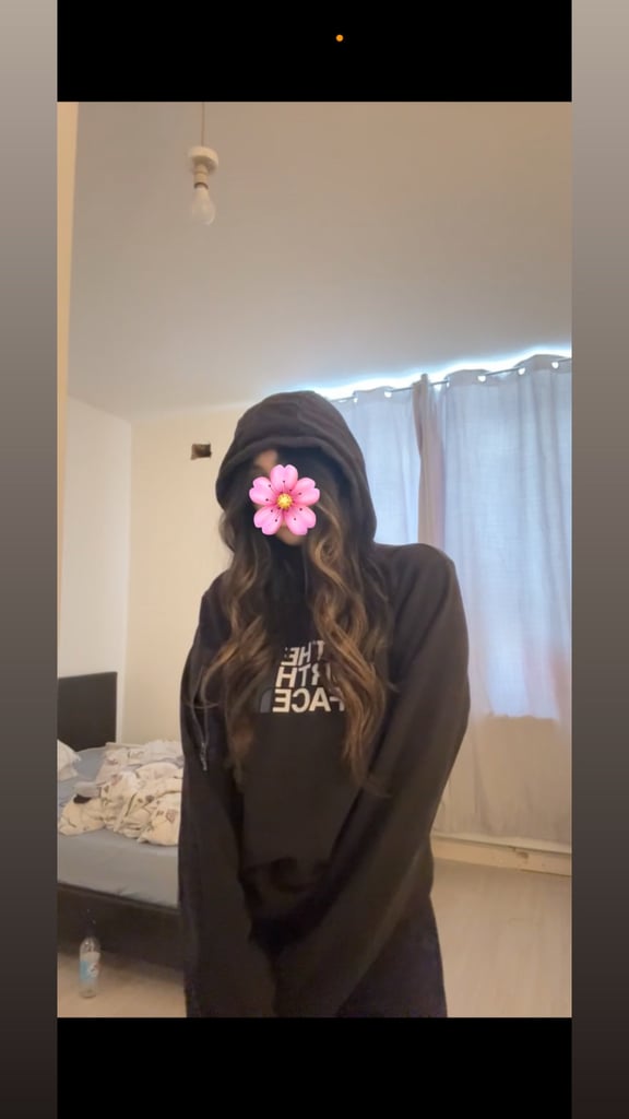 The North Face Hoodie 