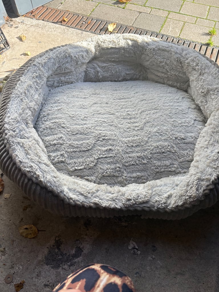 Dog bed 