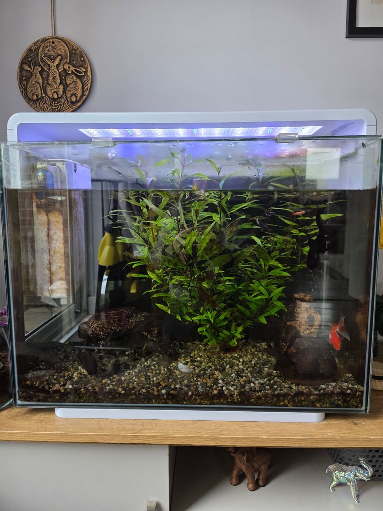 image for Superfish Home 85