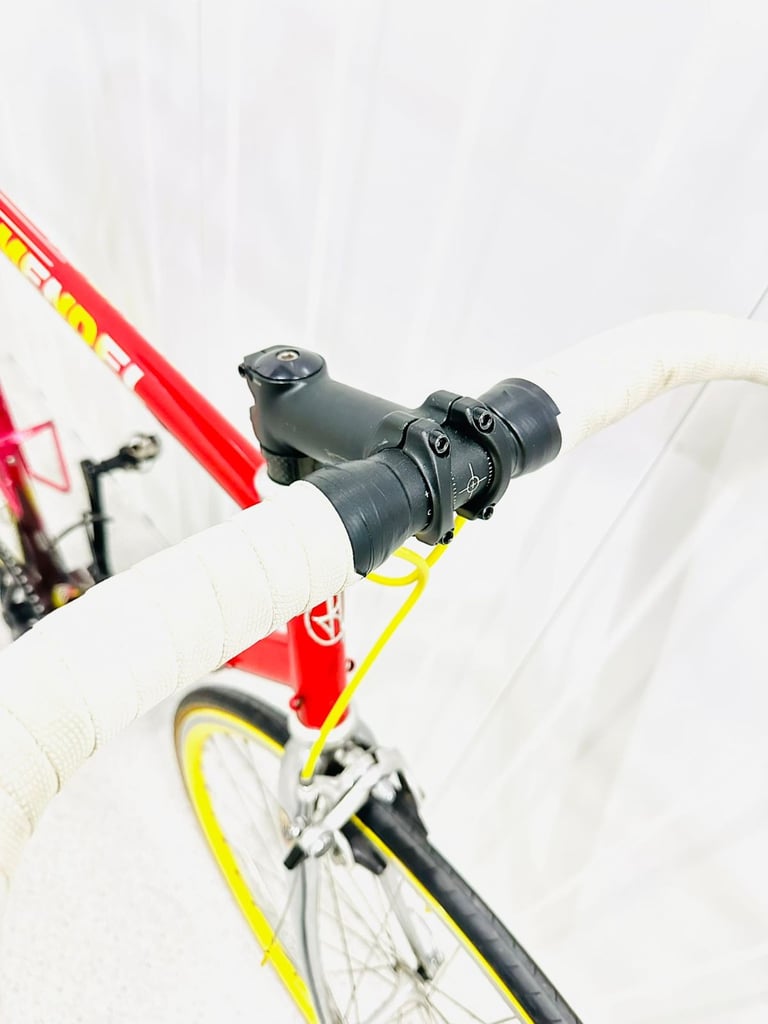 FONDRIEST Size/L Super LW Single Speed Road Bike Fully Serviced 