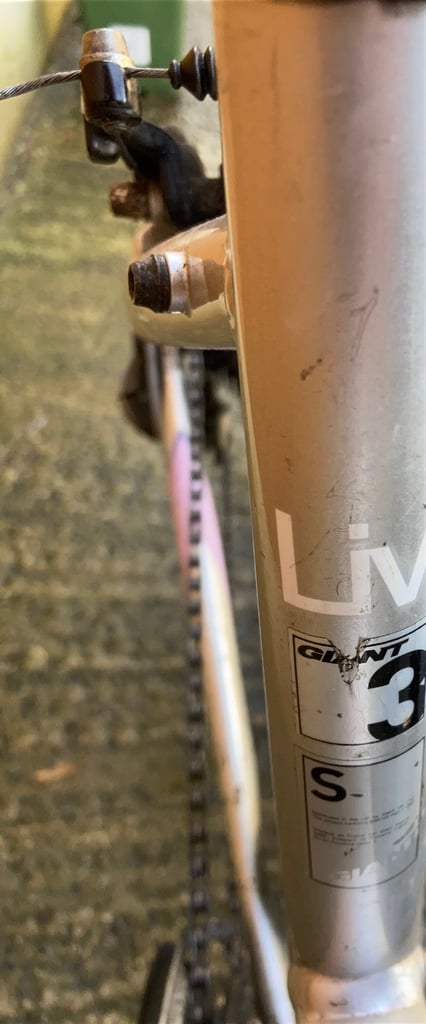 Ladies Giant bicycle 