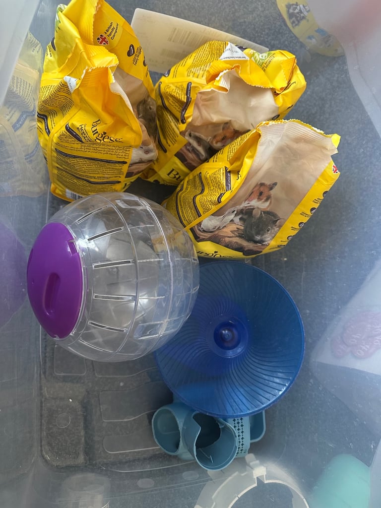 FREE hamster cages x2 & accessorises  