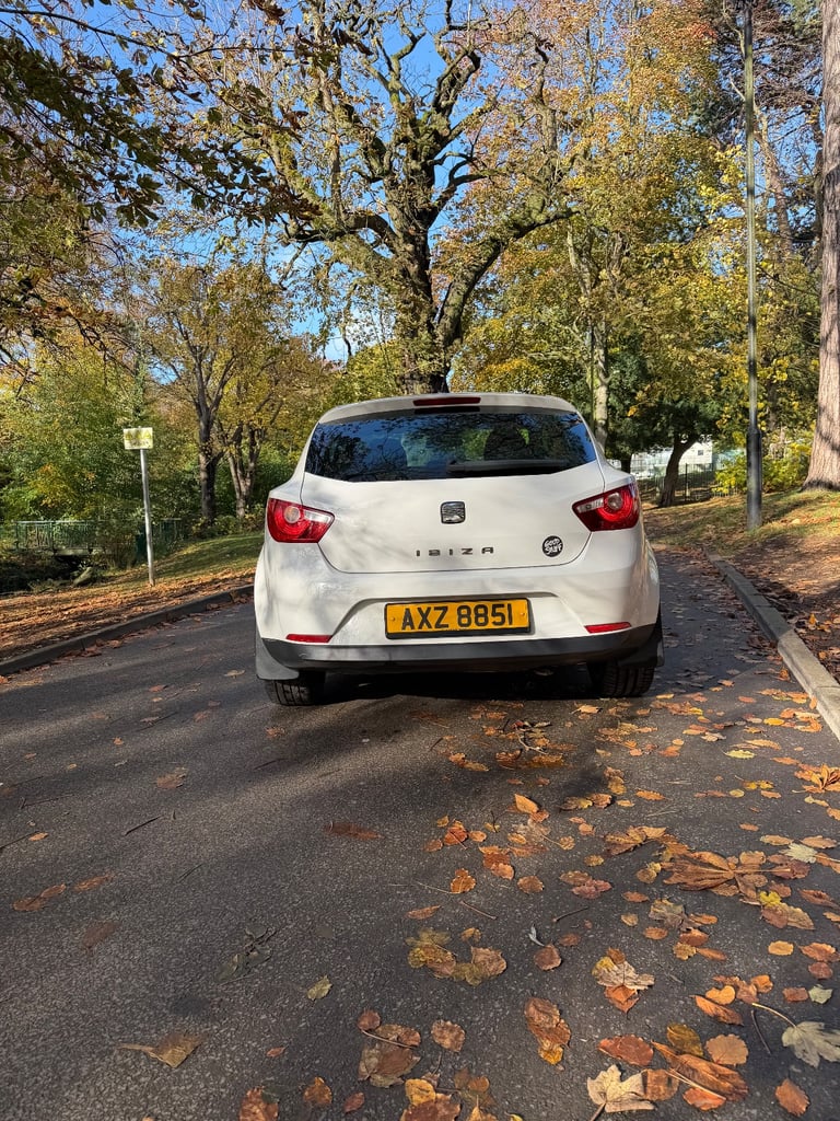 Seat Ibiza Good Stuff 2011 1.4 Petrol