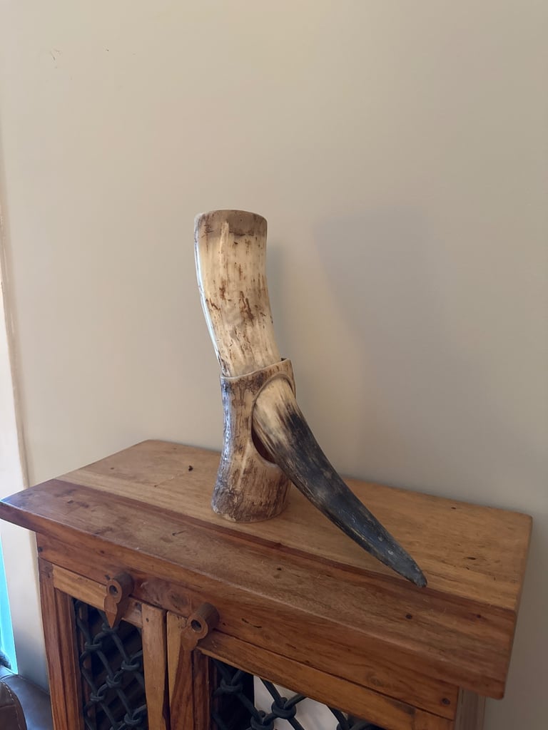 image for Highland cow horn ornament (real horn) 