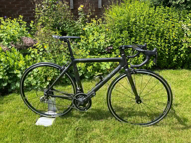 Colnago (Never Used)Bicycle C50 Anniversary bike 52cm