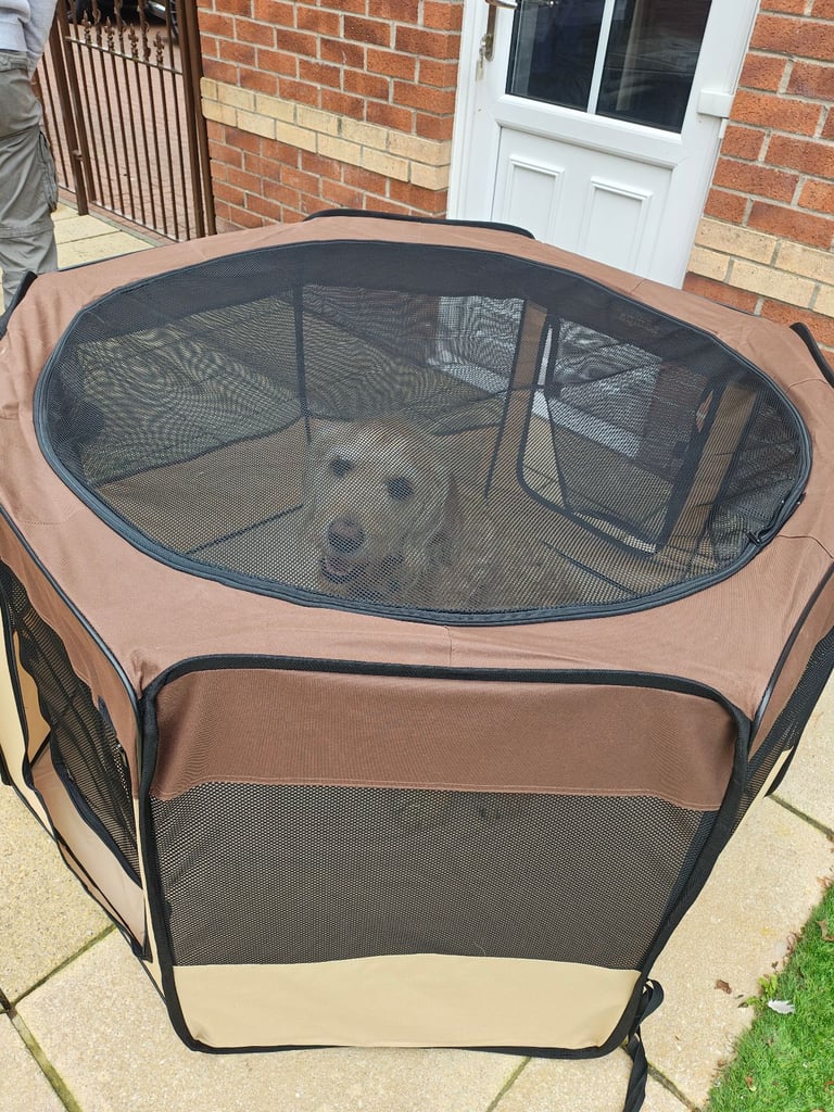 XL Portable Pop-Up Dog Pen