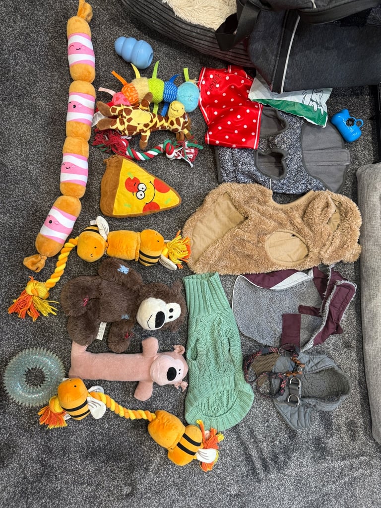 Small dog Accessories bundle