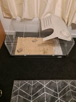 Rabbit/guinea pig cage