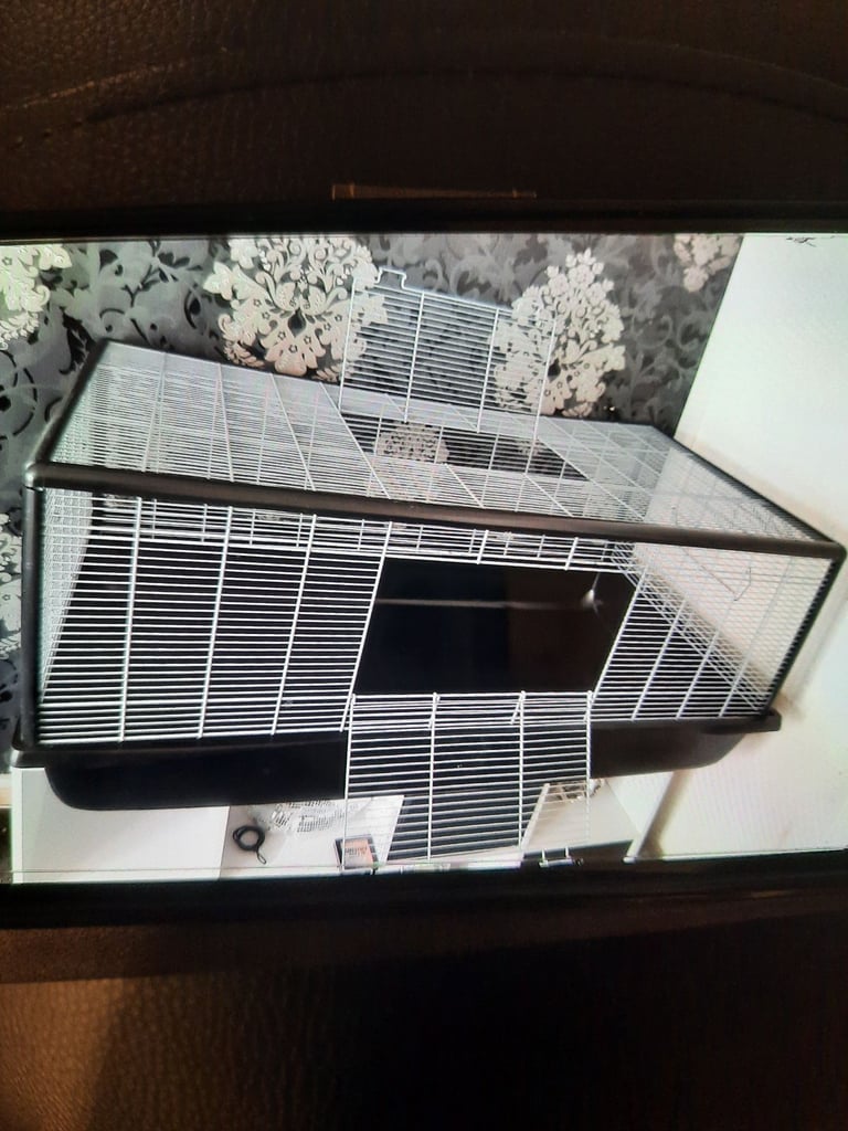 Hamster cage 