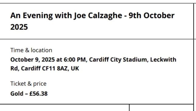 image for An Evening with Joe Calzaghe - 9th October 2025 Thu, Oct 09  |  Cardiff City Stadium