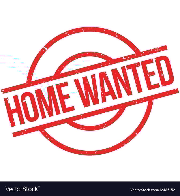 Property wanted to rent Bangor area Jan/Feb