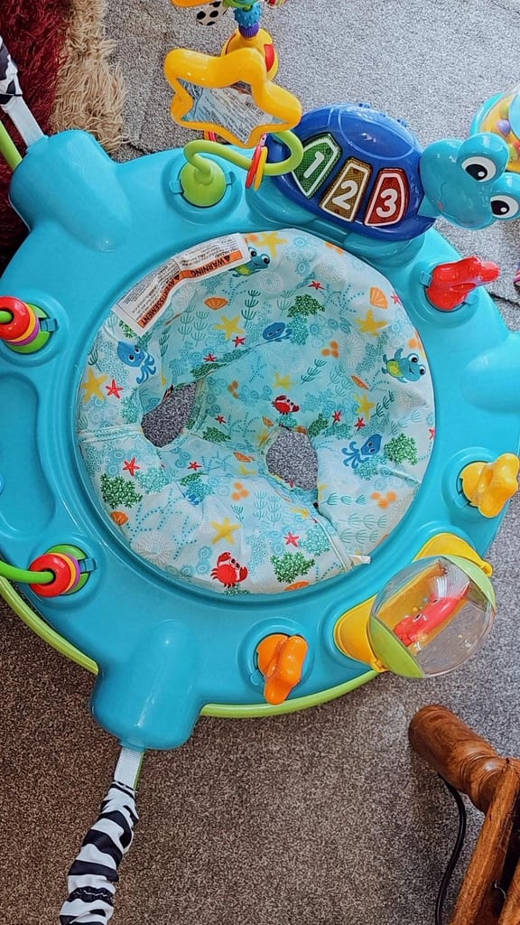 Baby Einstein Bouncer / Jumperoo
