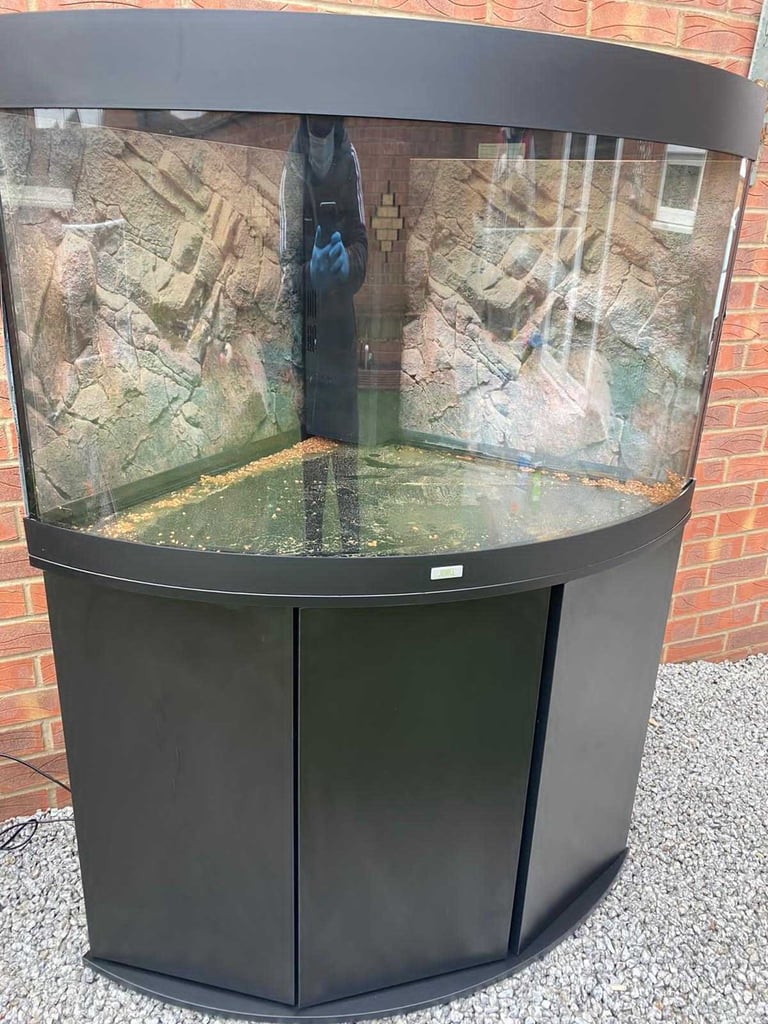 Juwel Trigon 190 Black fish tank aquarium tropical setup delivery 🚚