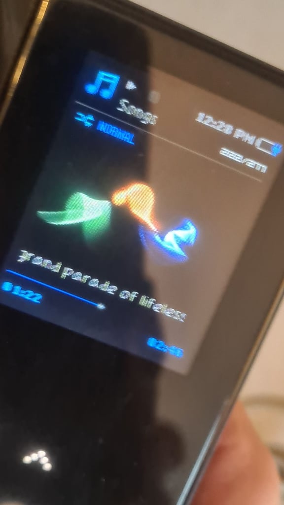 Samsung s5 tilt and slide speaker 2gb mp3 player. Fully Working and in great condition