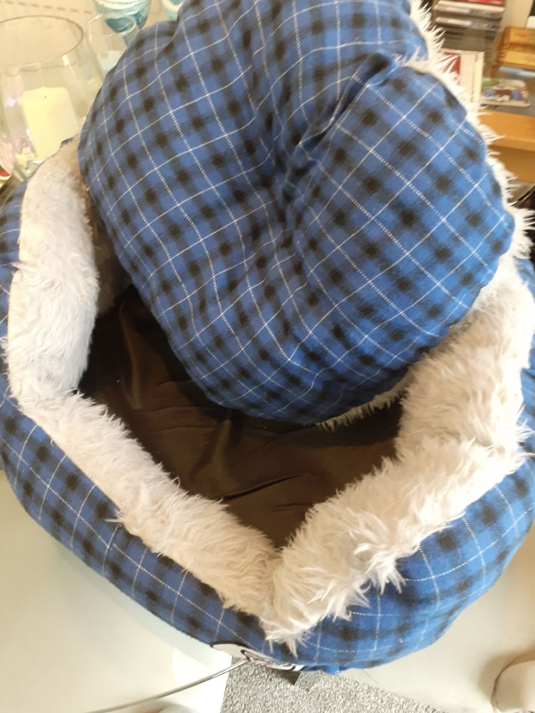 Puppy Tartan dog bed and coat £15