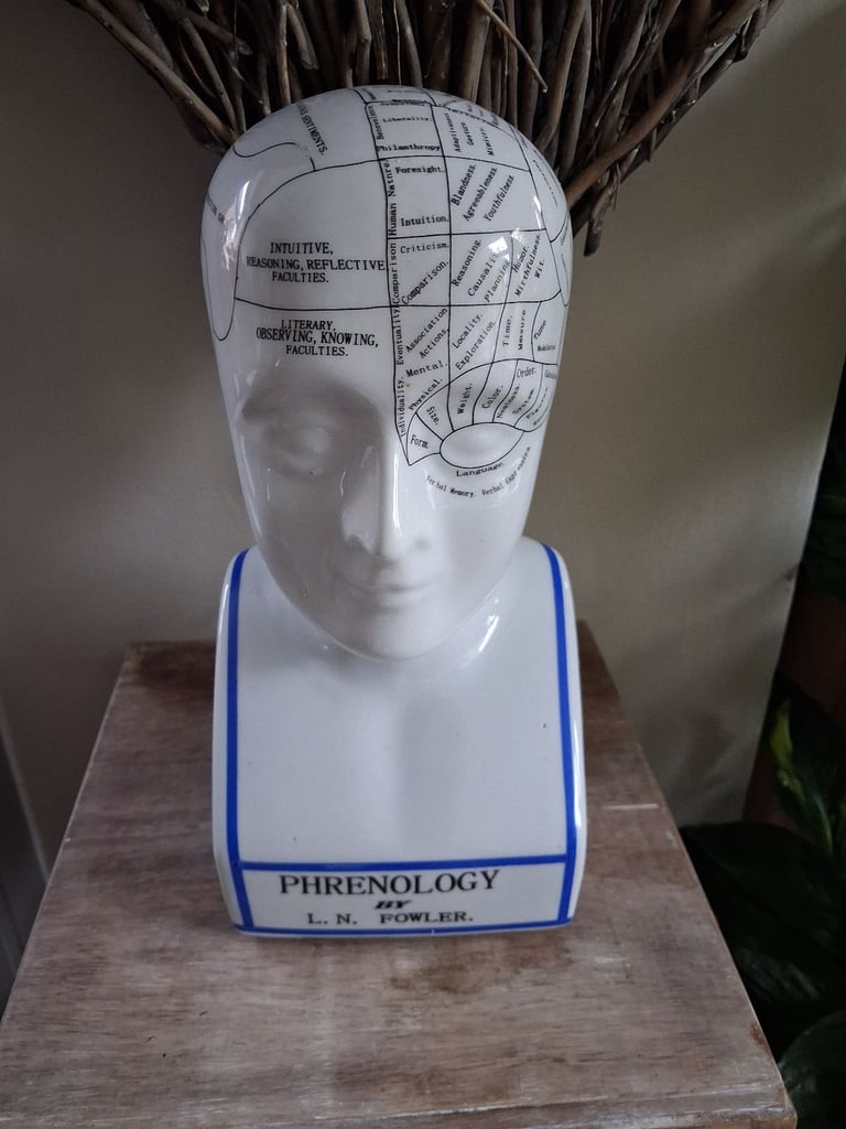 image for Phrenology head ornament 