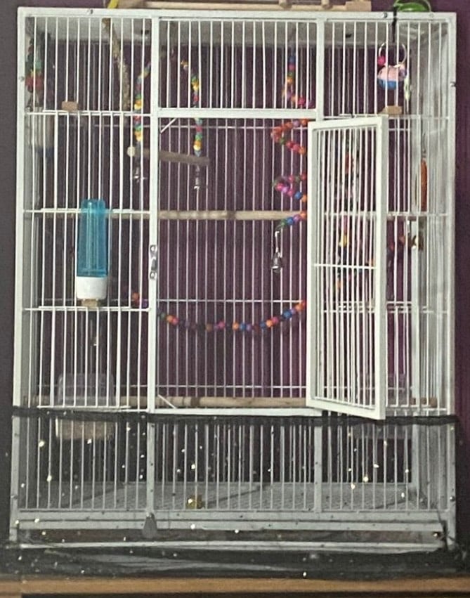 image for Bird cage without stand
